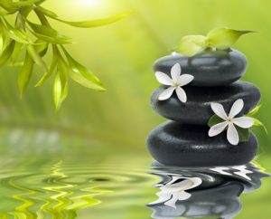 Spa still life, with white flowers on the black stones and bamboo leafs